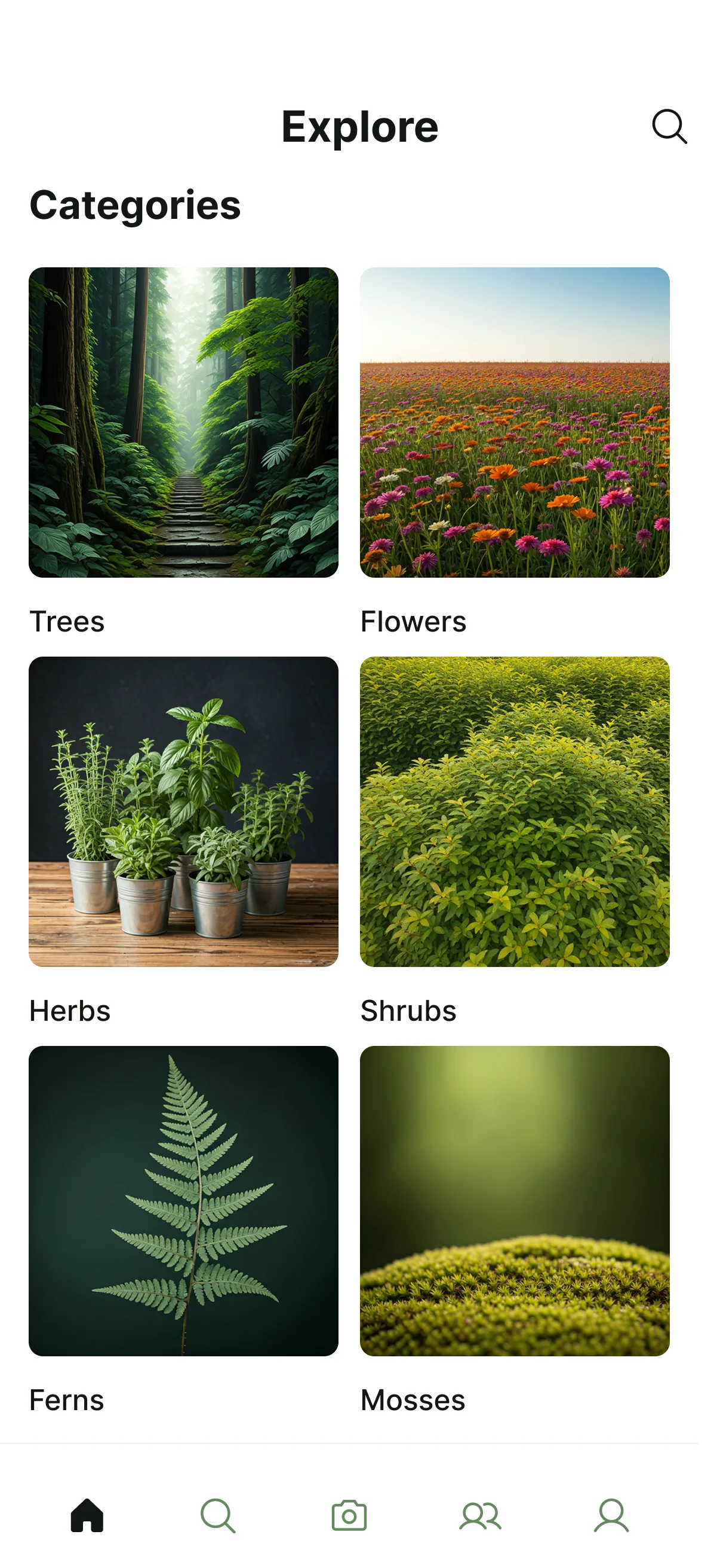PlantNet mobile explore categories screen