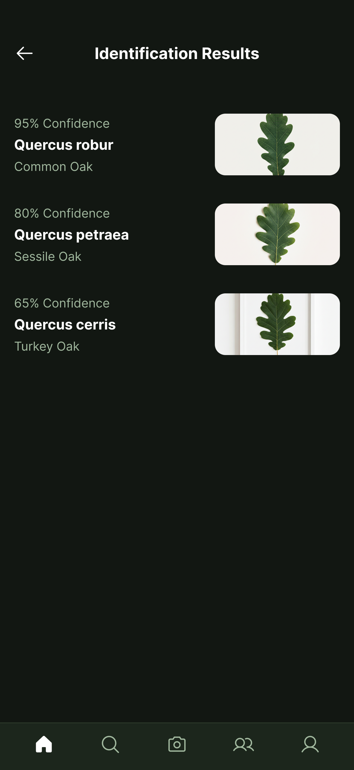 PlantNet mobile identification results screen