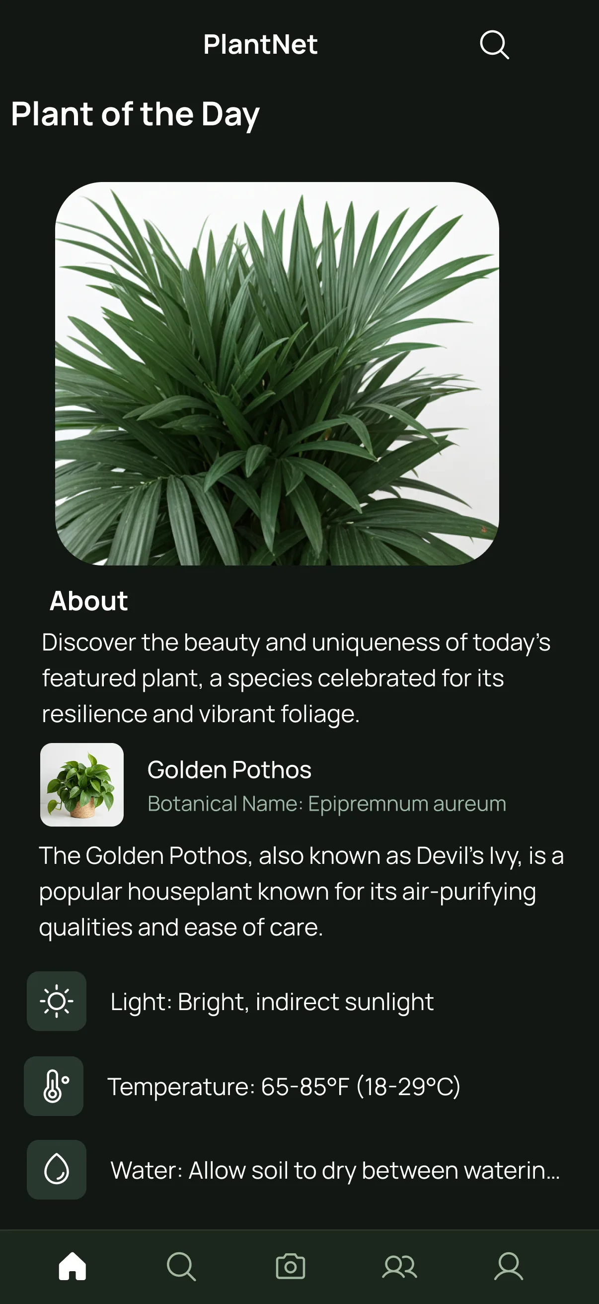 PlantNet mobile plant of the day screen