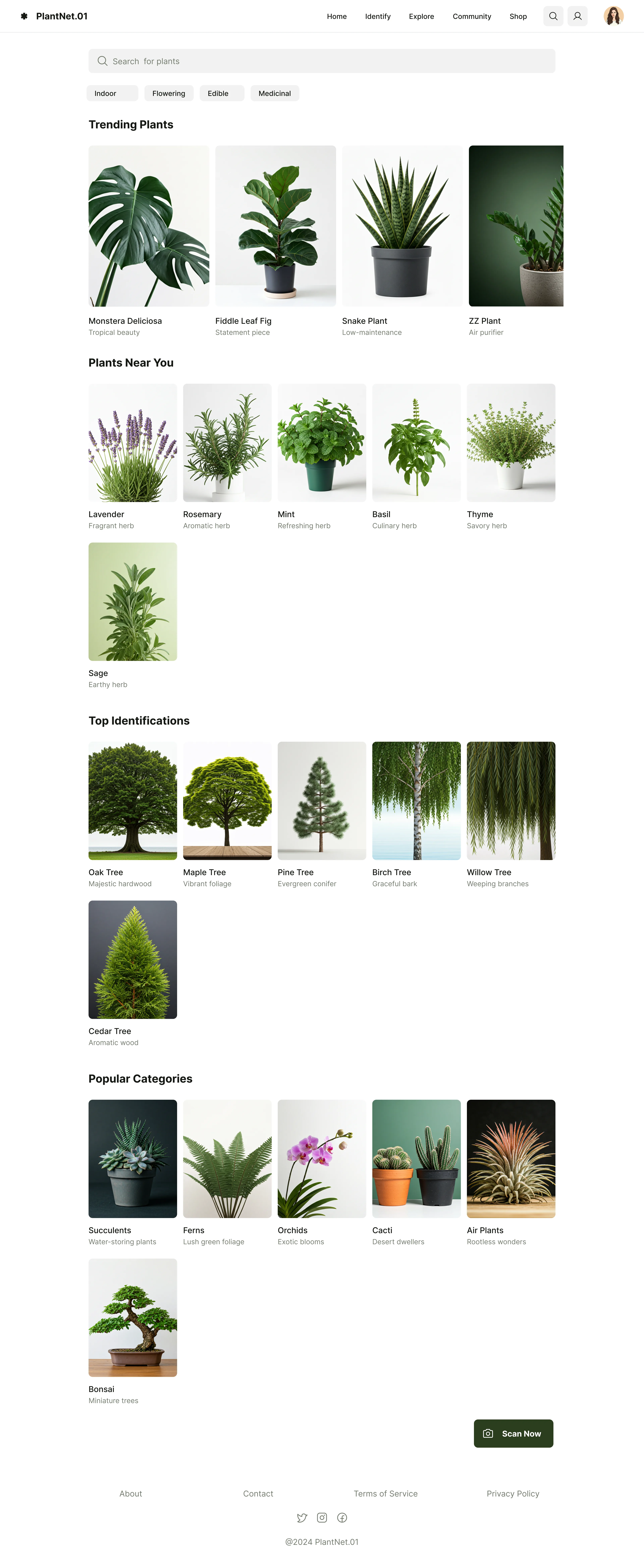 PlantNet website plant library page