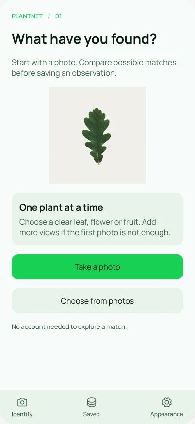 PlantNet identification — light mode