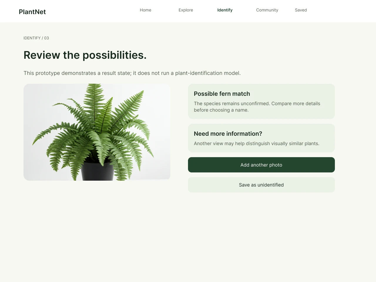 PlantNet desktop — reviewing possible matches